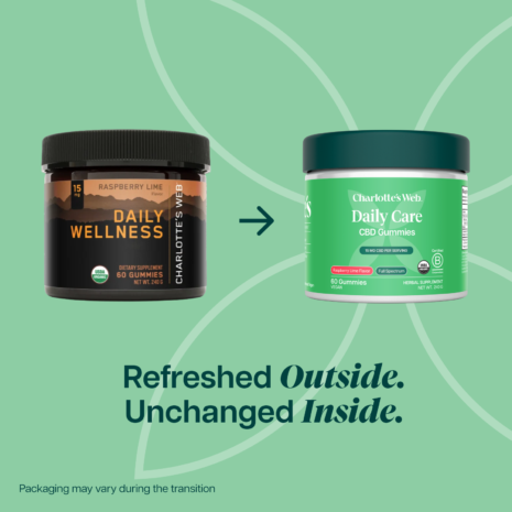 Daily Wellness 15 Daily Wellness 15