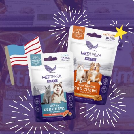 Medterra Clip Strip Pet Bundle_image