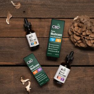CBDfx Focus Mushroom + CBD Drops - CBG Energy Blend