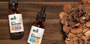 CBDfx Unwind Mushroom + CBD Drops: CBN Relax Blend