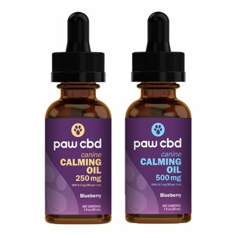 cbdMD-Paw-CBD-Calming-Tincture-for-Dogs-Review