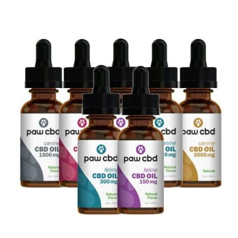 cbdMD-Paw-CBD-Oil-Tinctures-for-Pets-Review