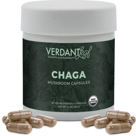 vl-product-fungi-capsules-chaga-1b