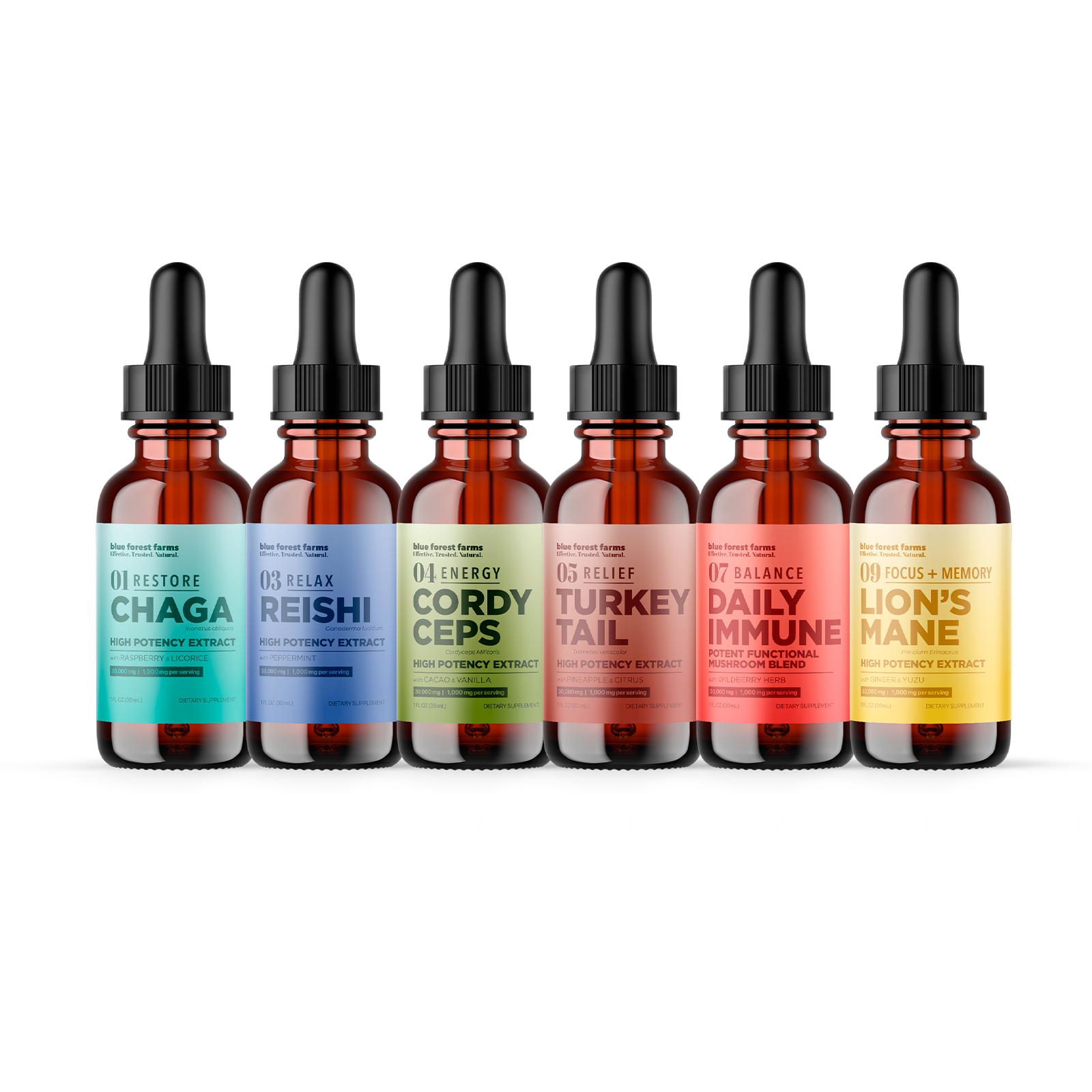 blue forest farms Mushroom Tinctures Cool Blue Distribution