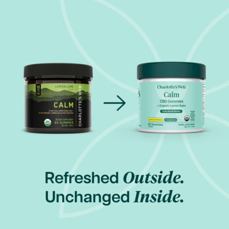 CW_PDP_Calm_Transition V1 CW_PDP_Calm_Transition V1