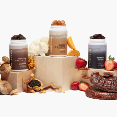 A Cannabis No Teve Efeitos Psicotrpicos Do Thc Segundo Pesquisas Brasileiras