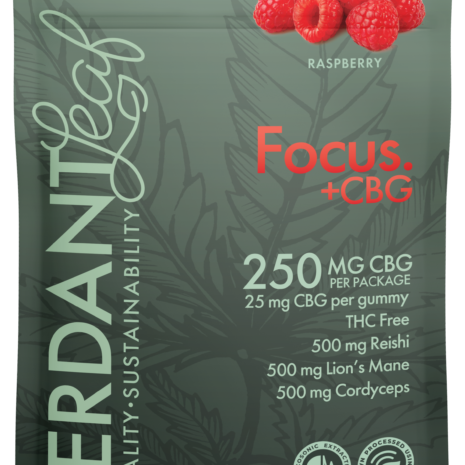 vl-gummies-focus+cbg--1b-front