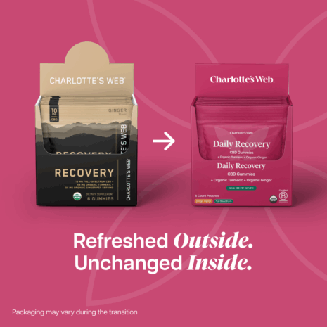 Daily Recovery (1) Daily Recovery (1)