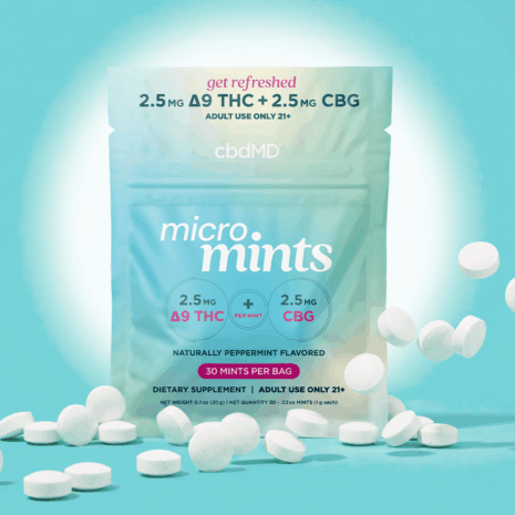 30 - Micro Mints - Art